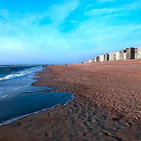 Near Sea And Shops In Belgium