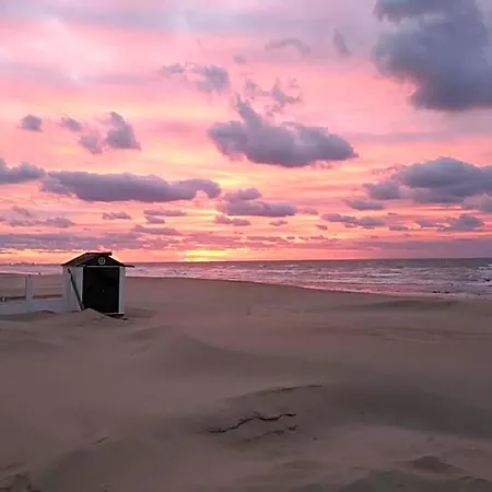 Near Sea And Shops In Belgium *