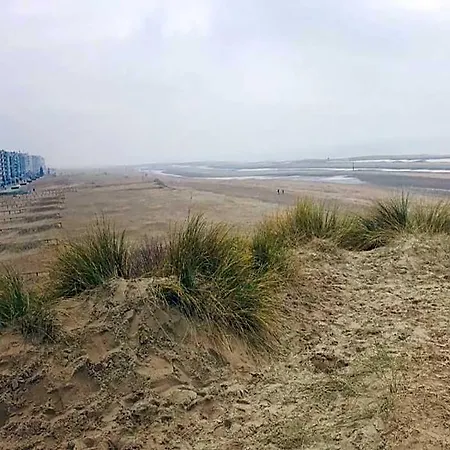 Near Sea And Shops In Belgium